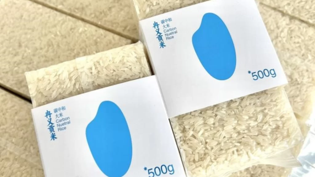 A young farmer in Qionglai cultivating carbon-neutral rice to support China's dual carbon goals.