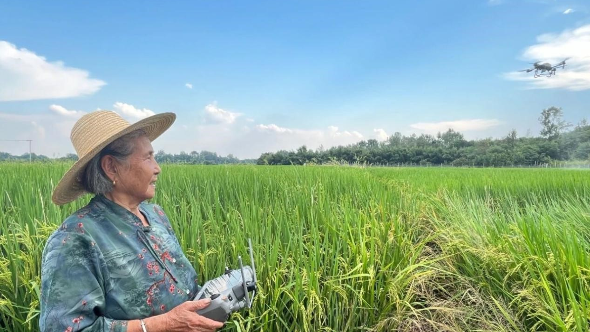 82-year-old woman in East China standing in a rural field confidently operating a large agricultural drone.