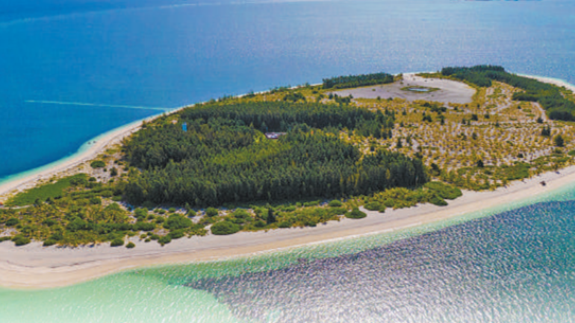Fishermen transform a barren sandbank into a lush maritime oasis using innovative bottle-planting techniques.