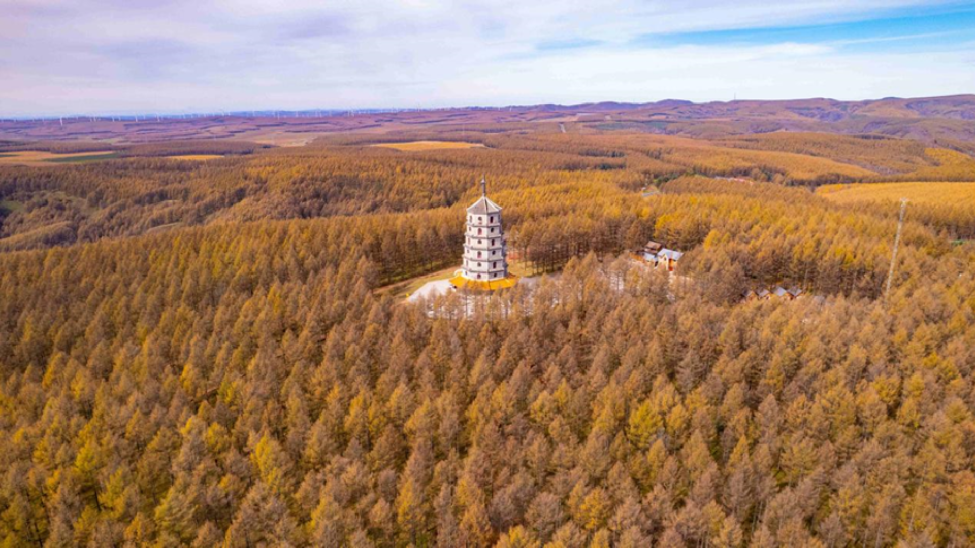 Saihanba secures international green certification, opening global markets for the world's largest man-made forest.