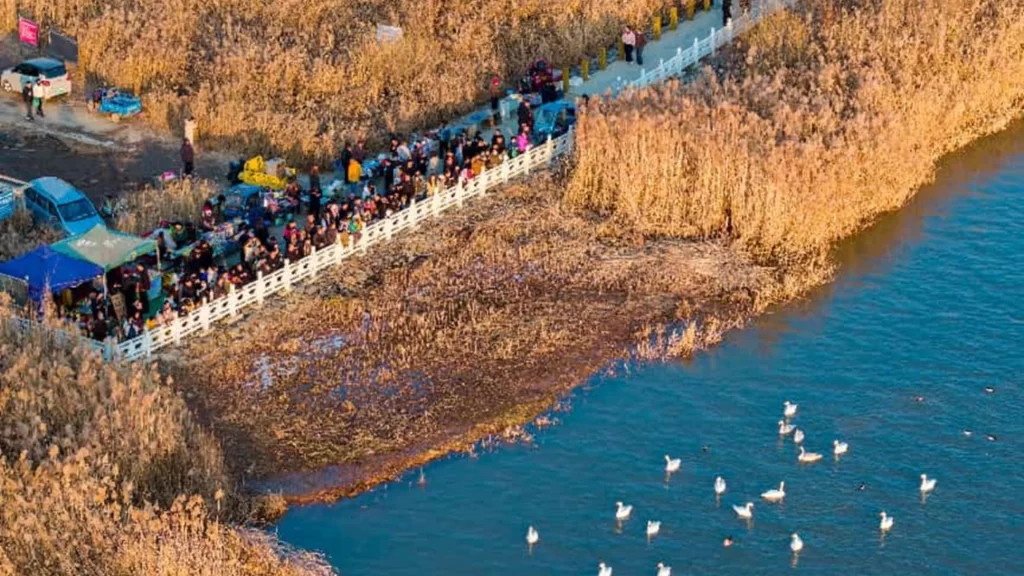 AI acoustic sensors in Lanzhou monitor birdsong to track biodiversity and guide urban ecological restoration.