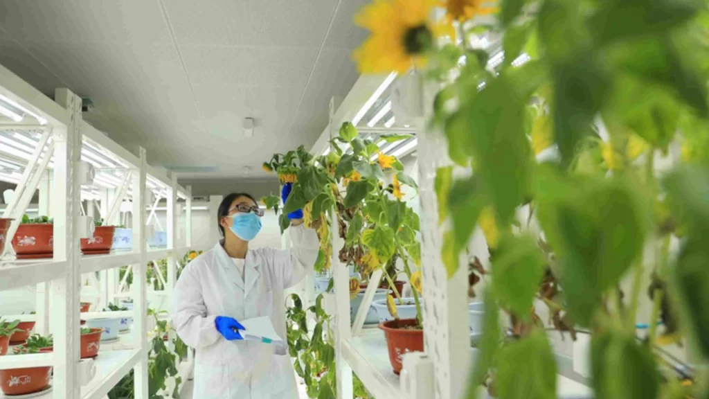 Intellectual property rights and geographical indications driving high-quality growth and innovation in China's rural industries.