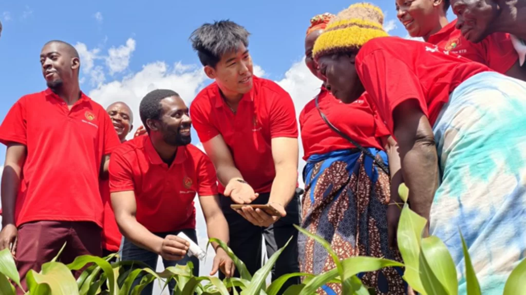China's STB program drives global green agricultural transformation through university-farmer innovation.