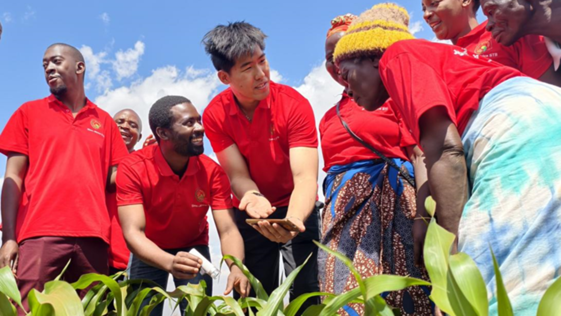 China's STB program drives global green agricultural transformation through university-farmer innovation.