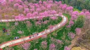 China's 15th Five-Year Plan drives a comprehensive green transition and global renewable energy leadership.