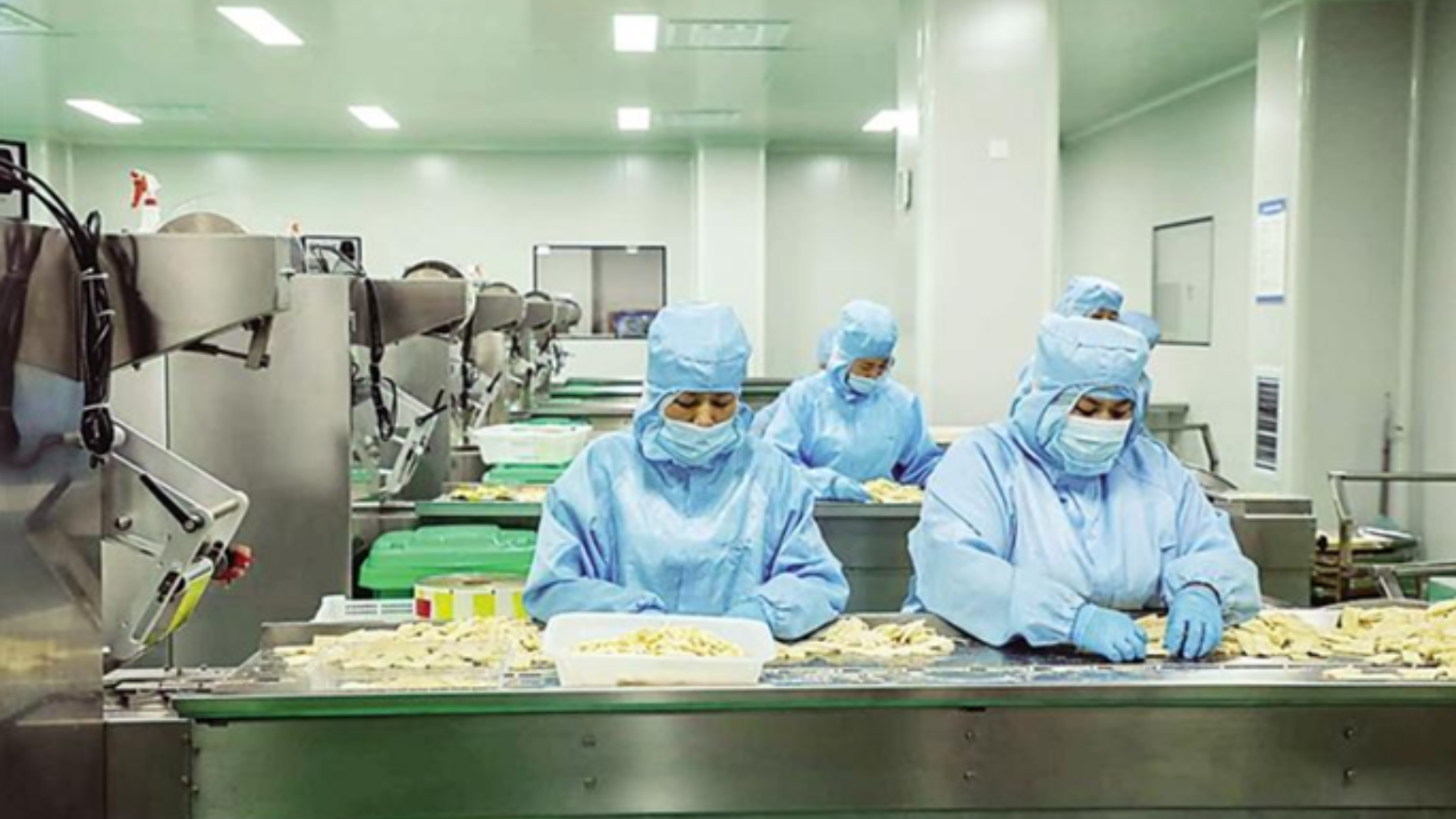 AI-powered "Recipe Engine" and big data revolutionize Cangxian’s ancient jujube industry through data-driven innovation.