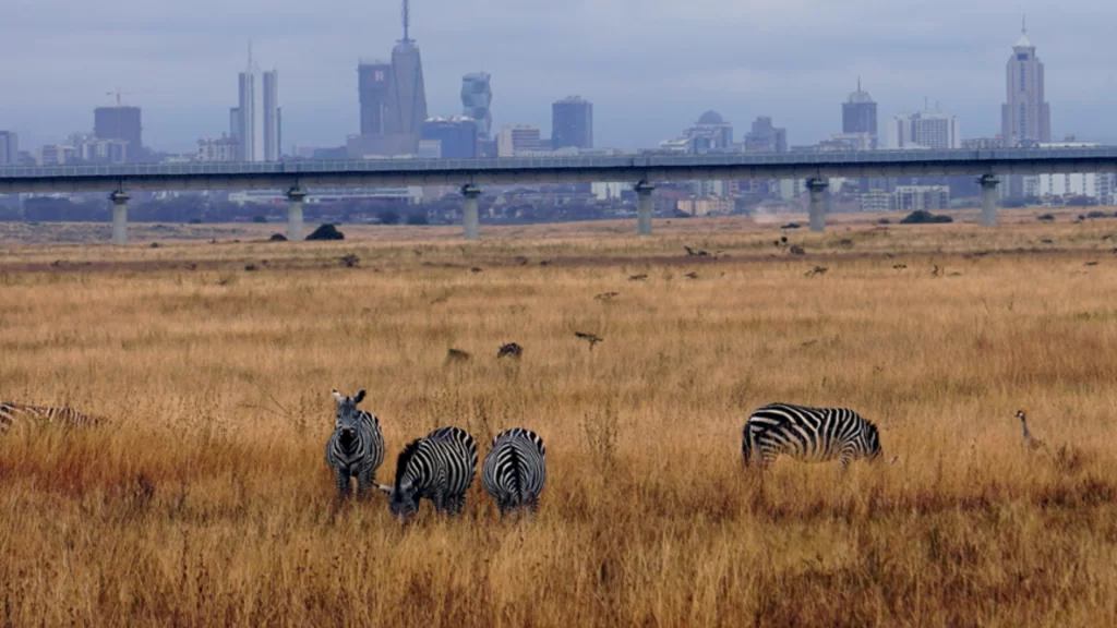 Erik Solheim discusses China's green transformation and the global impact of its sustainable technology.