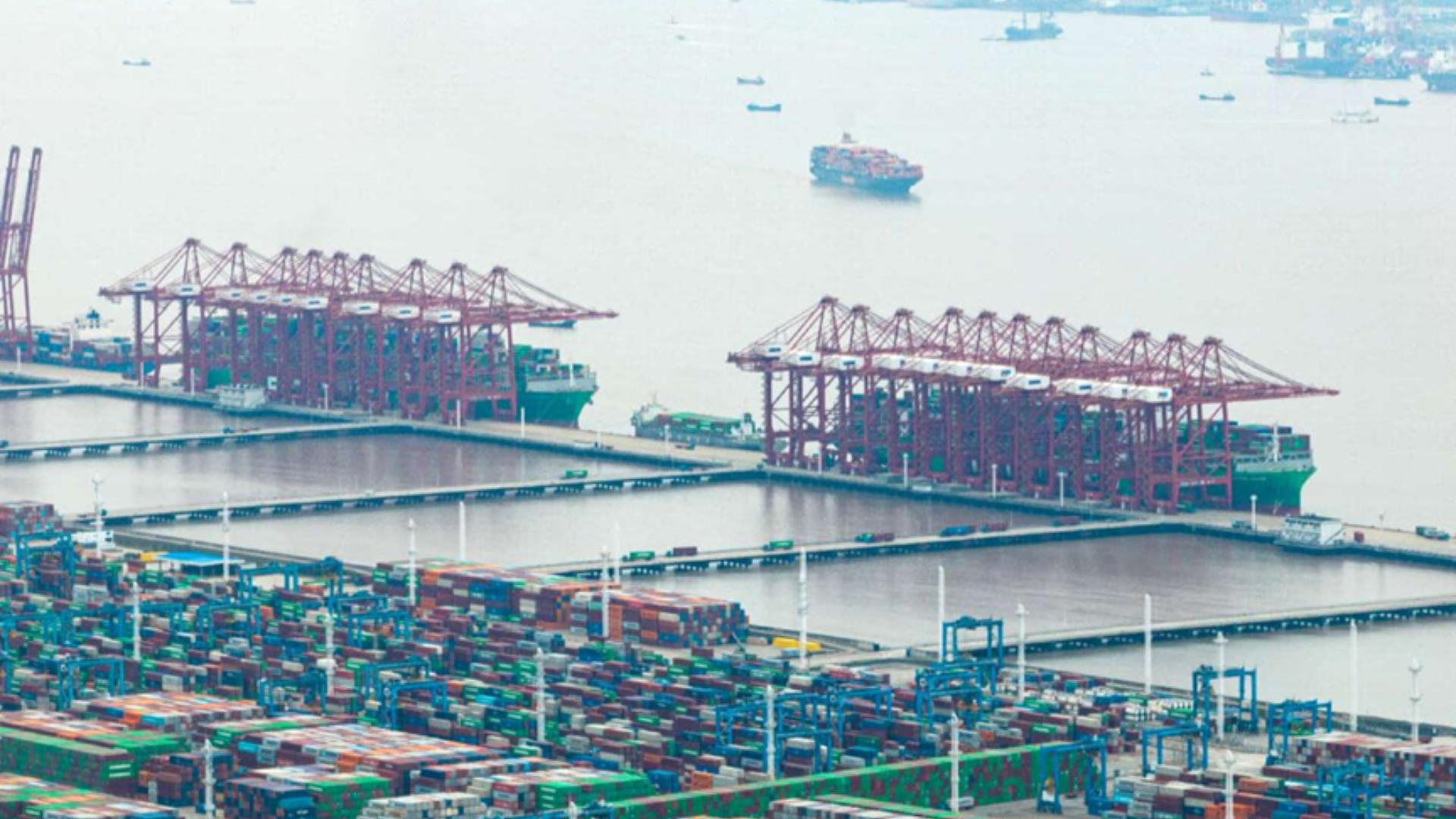 China’s daily economic pulse features massive port throughput, robotics innovation, and vibrant, open global trade.