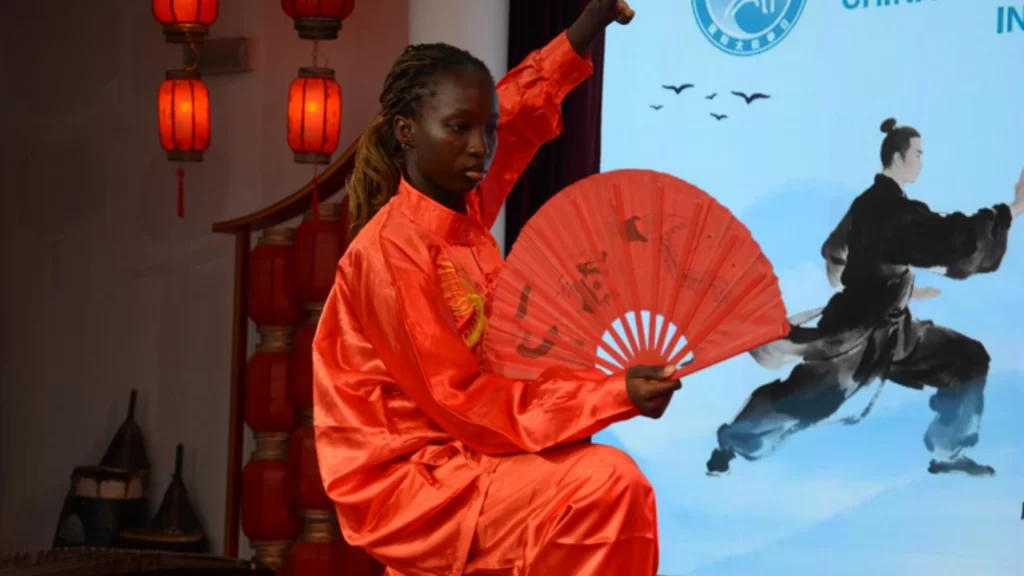 中尼嘉宾欢聚阿布贾，共庆首个“国际太极拳日