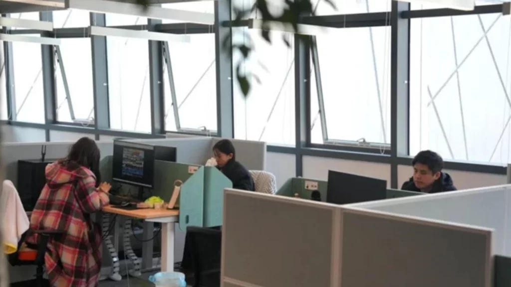 Office workers at cubicles with computers in a modern workspace with large windows.