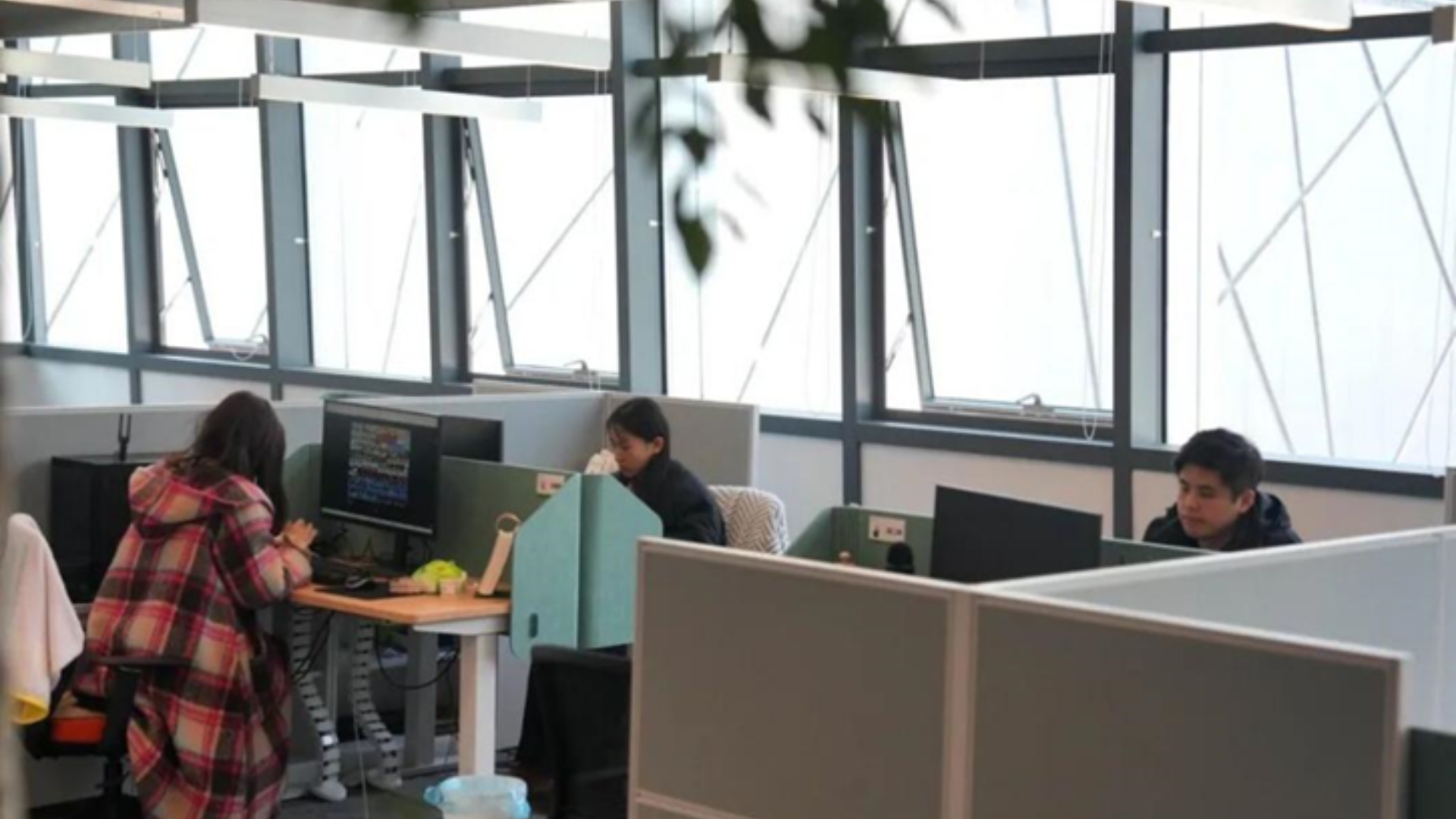 Office workers at cubicles with computers in a modern workspace with large windows.