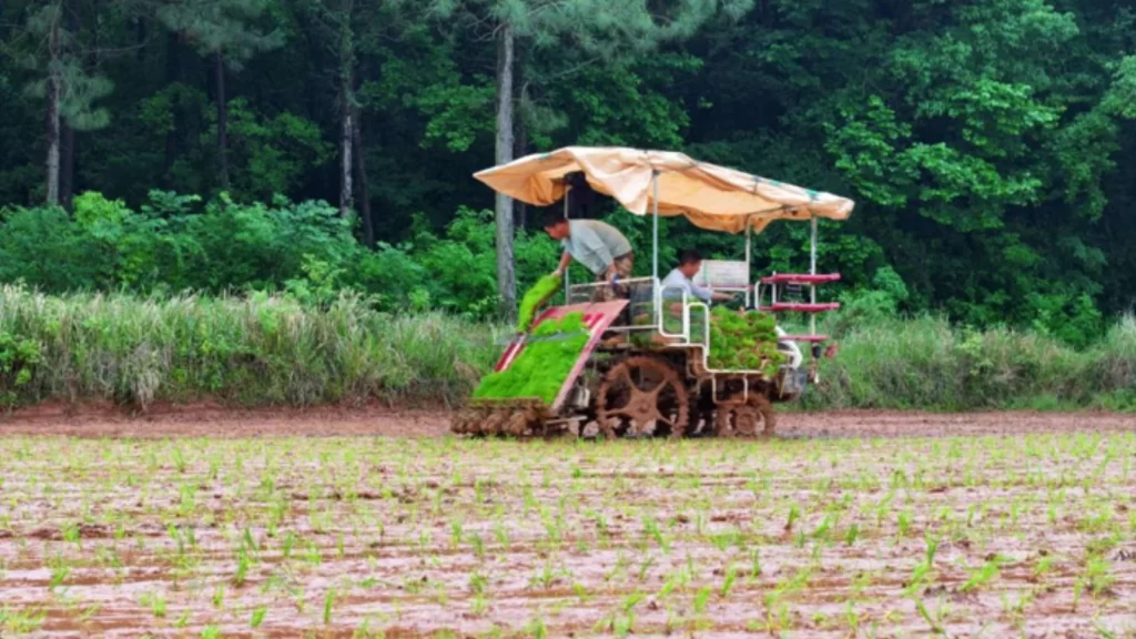 Two farmers operate a motorized rice transplanter machine in a muddy, waterlogged paddy field.