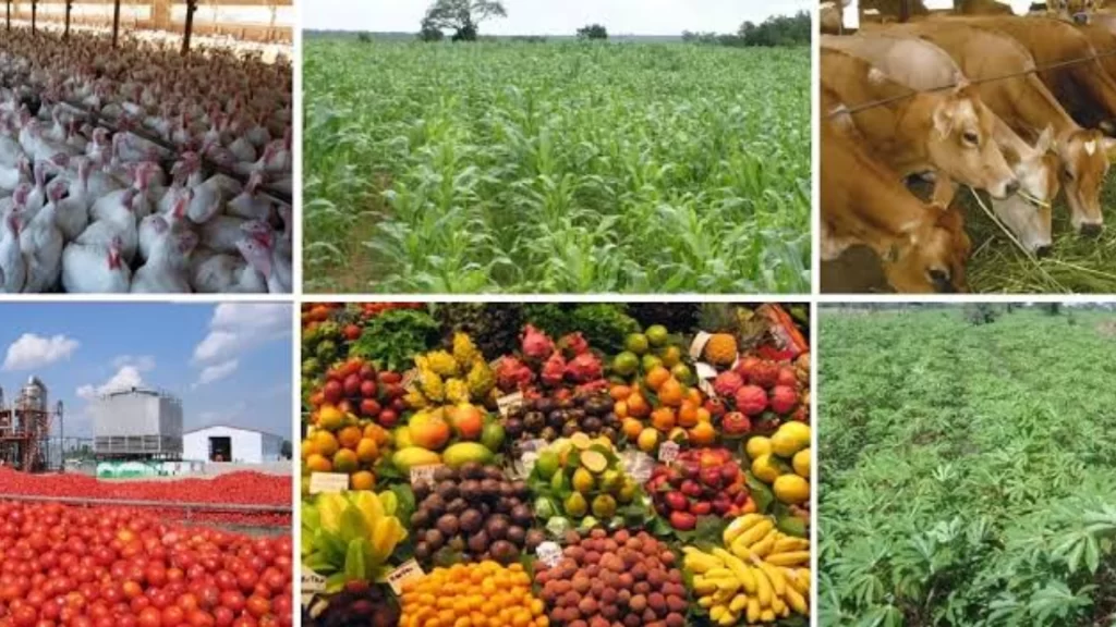 Collage showing diverse Nigerian agricultural sectors, currently hindered by high borrowing costs and infrastructure.