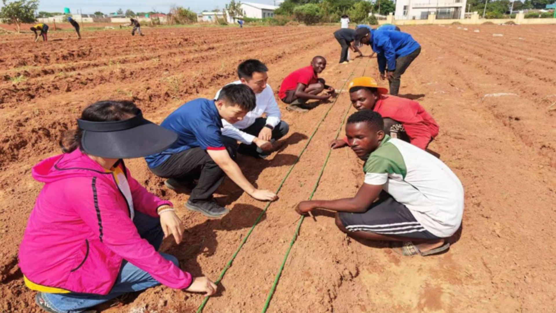 Chinese experts instruct local agricultural technicians to plant crops in Zambia to boost food security.