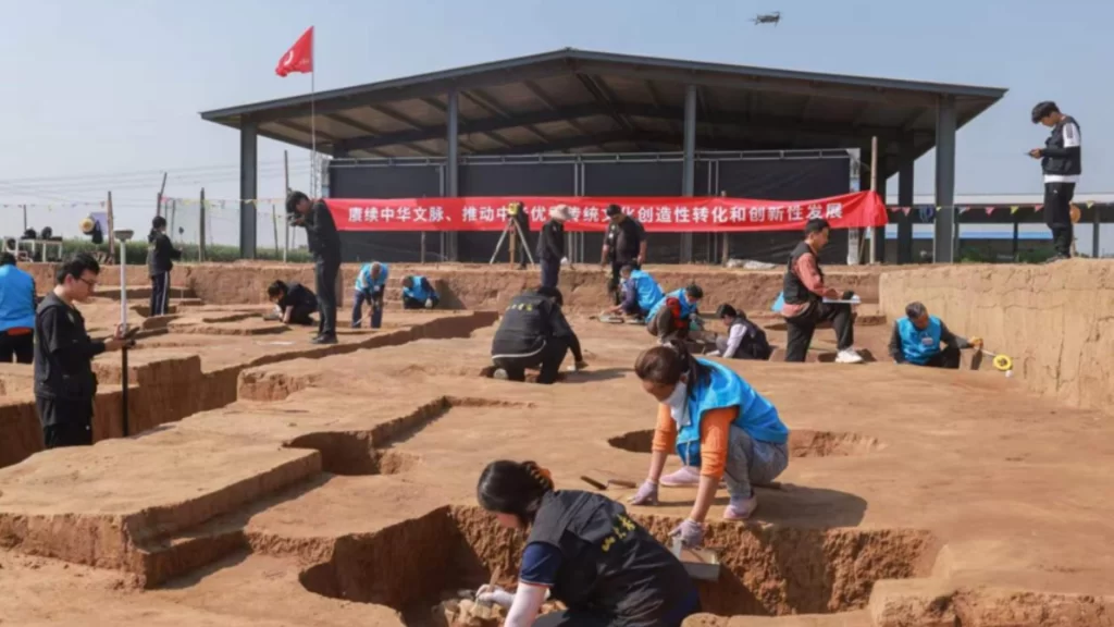Researchers and students excavate pits at an open-air archaeological field site in China.