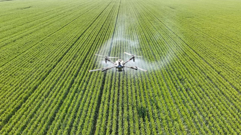 Agricultural drone sprays pesticide over farmland, advancing smart farming and sustainable agriculture in China.