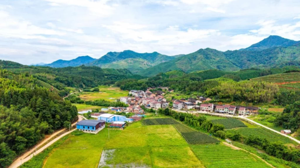 High-standard farmland project supports soil restoration, sustainable agriculture, and China's food security goals.